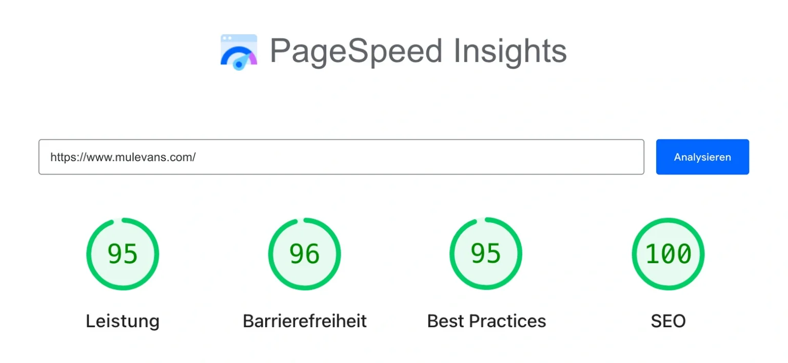 Page-Speed-und-Barrierefreiheit-Ergebnis-Mule-Vans